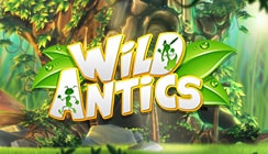 Wild Antics Wild Antics