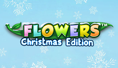 Flowers Christmas Edition Flowers Christmas Edition