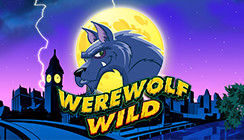 Were wolf Wild Were wolf Wild