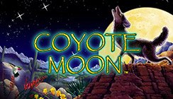 Coyote Moon Coyote Moon