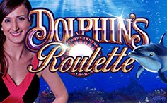 Dolphins Roulette Live Dolphins Roulette Live