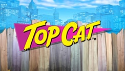 Top Cat Top Cat