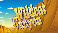 Wild Cat Canyon Wild Cat Canyon