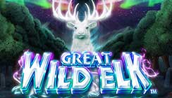 Great Wild Elk Great Wild Elk