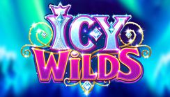Icy Wilds Icy Wilds