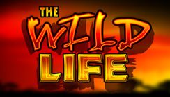 Wild Life Wild Life