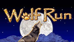 Wolf Run Wolf Run