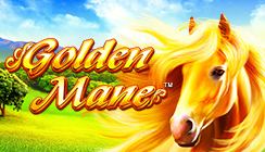 Golden Mane Golden Mane