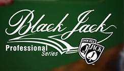 Blackjack Professional Blackjack Professional