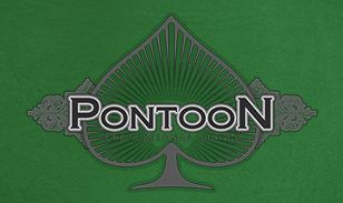 Pontoon Professional Pontoon Professional