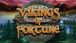 Vikings of Fortune Vikings of Fortune