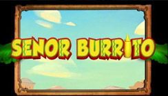 Senor Burrito Senor Burrito