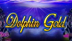 Dolphin Gold Dolphin Gold