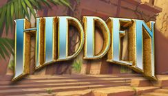 Hidden Hidden