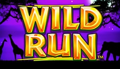 Wild Run Wild Run