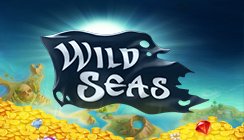 Wild Seas Wild Seas