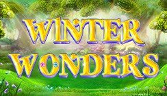 Winter Wonders Winter Wonders