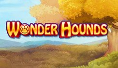 Wonder Hounds Wonder Hounds