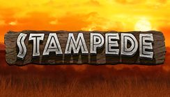Stampede Stampede