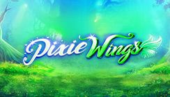 Pixie Wings Pixie Wings